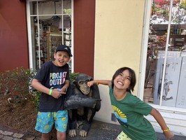 675FF68B-EBC6-498A-9609-CED370796B97_1_102_o.jpeg