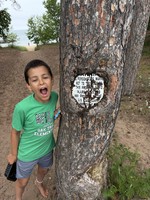 35B0A013-4799-4A48-B1F4-9D1359AE311F_1_102_o.jpeg